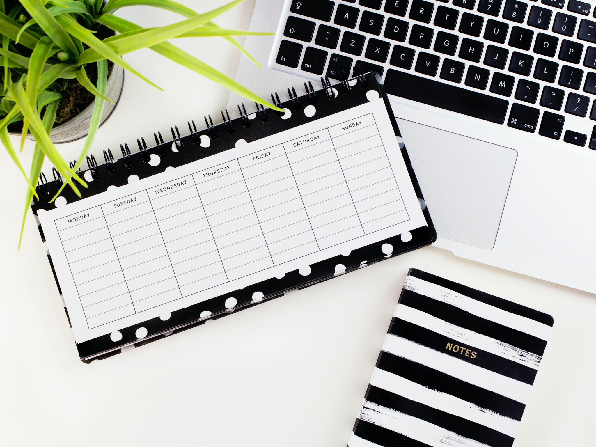 1,000+ Clever Planner Business Names - Starter Story