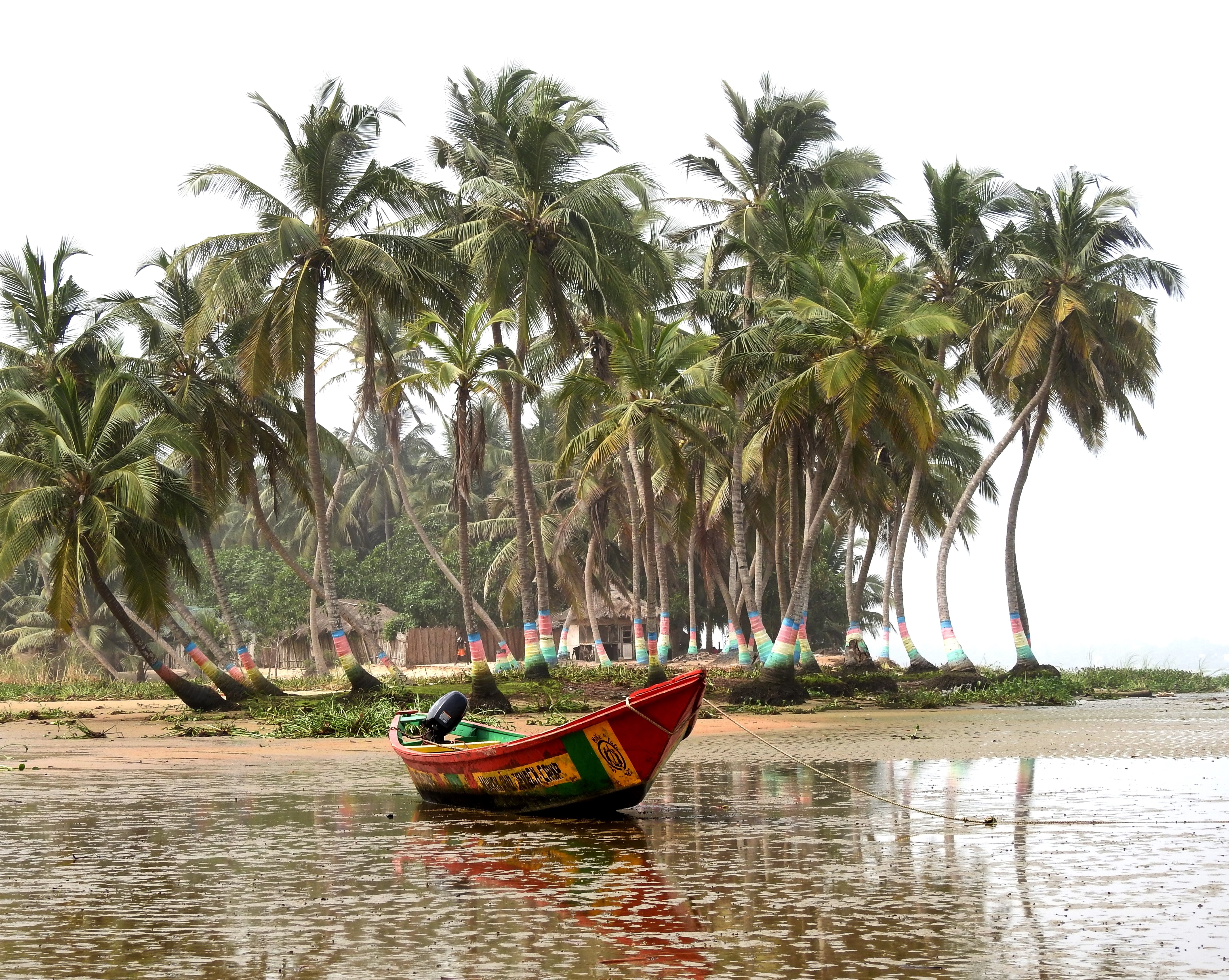 The 67 Best Business Ideas To Start In Ghana [2026] - Starter Story