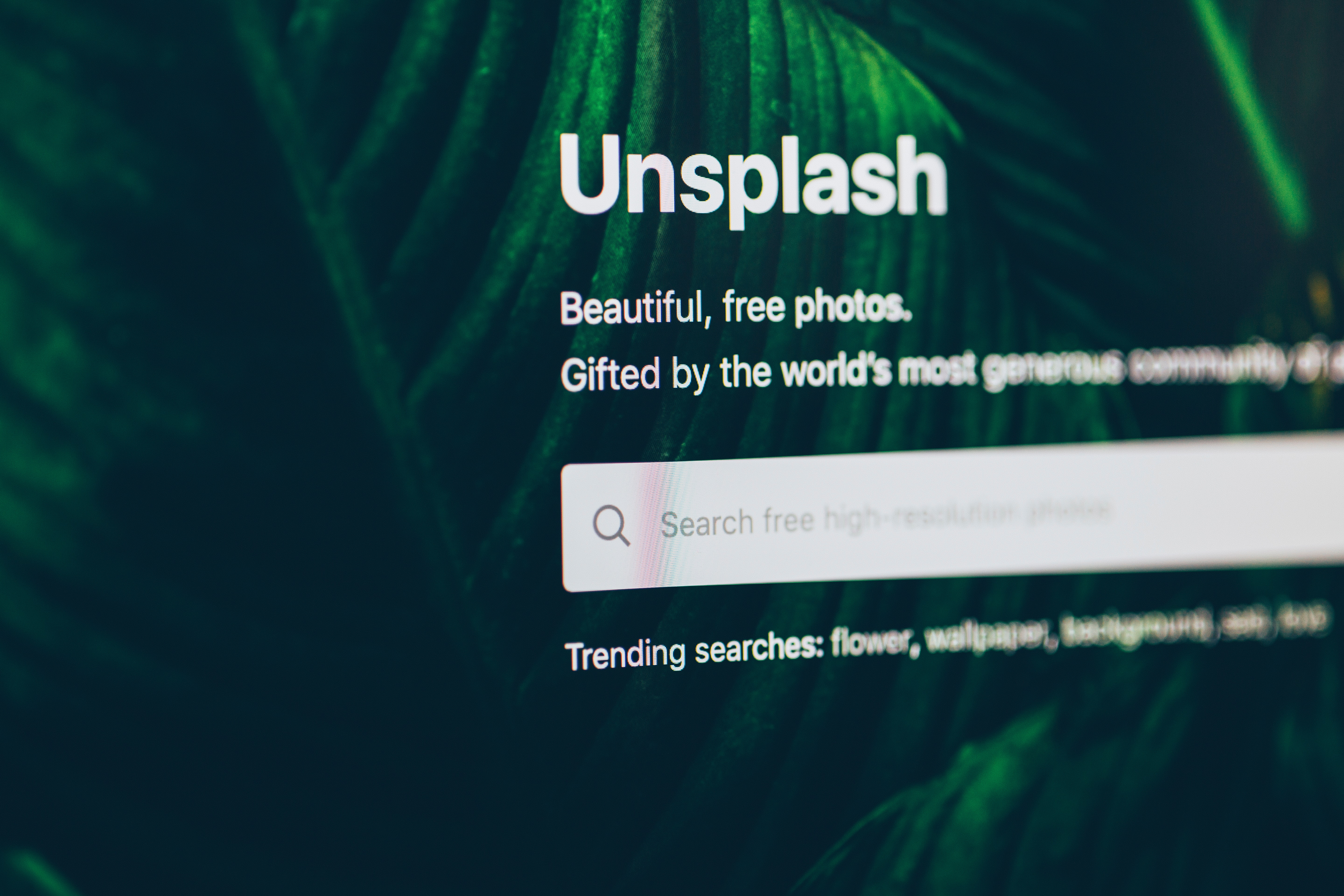250+ Catchy Search Platform Slogans - Starter Story