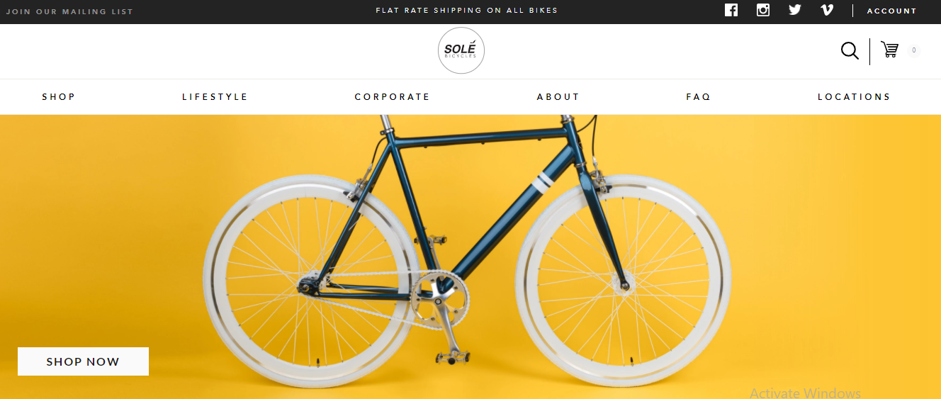 Online bicycle companies 2025
