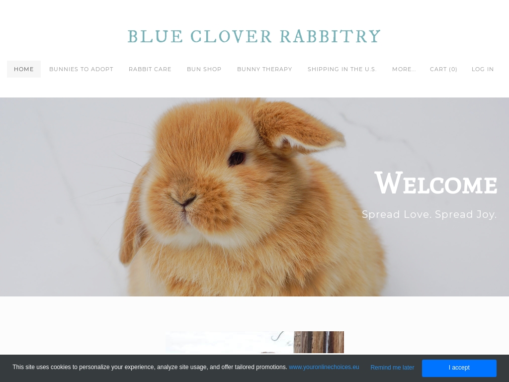 Start A Rabbit Farming Business Business Ideas Starter Story