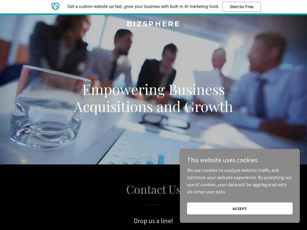 BizSphere website screenshot