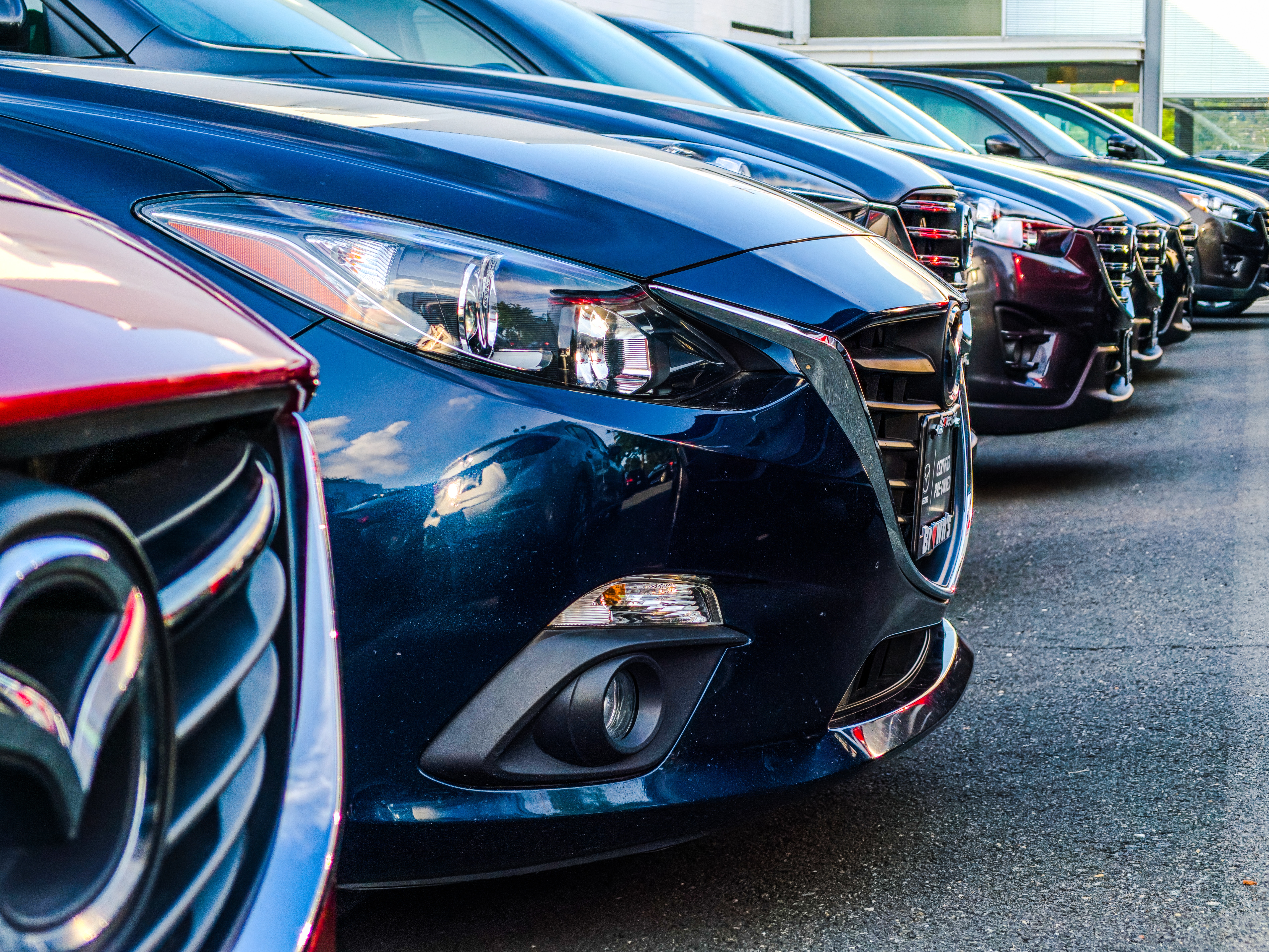 230 Best Instagram Bios For Your Car Rental Business [2025] - Starter