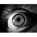 tool-icon