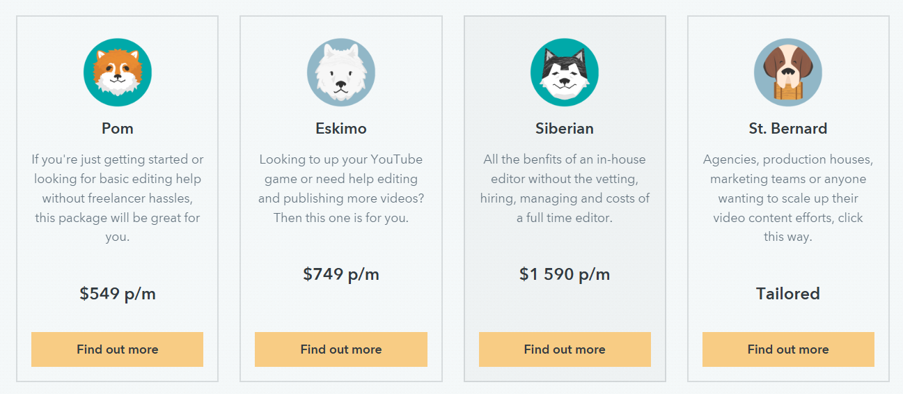 Video Husky Pricing