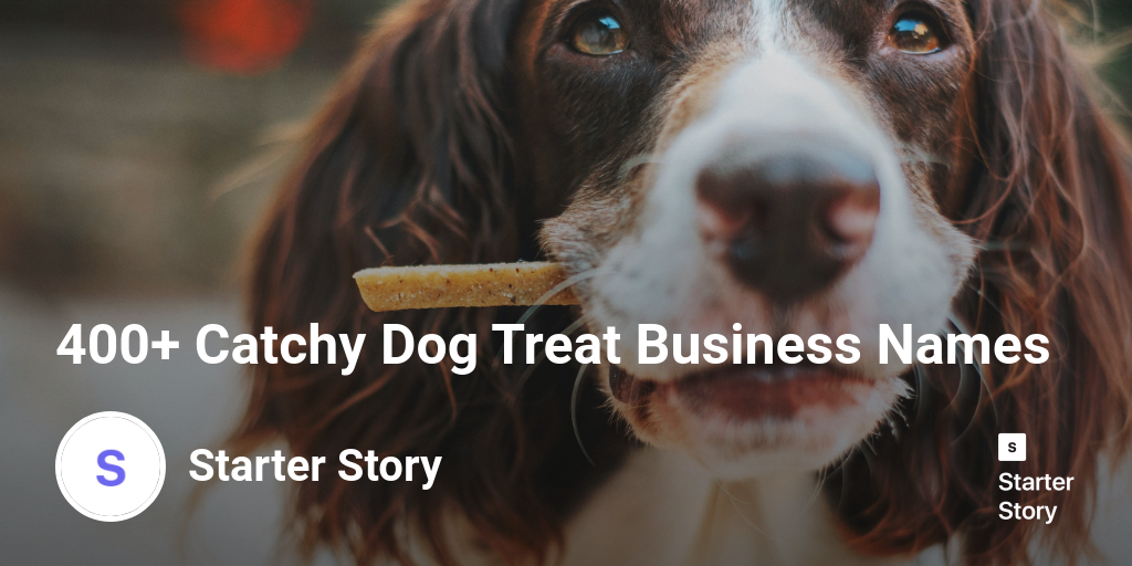 400+ Catchy Dog Treat Business Names Starter Story