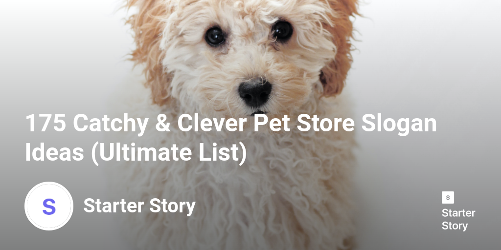 175 Catchy Clever Pet Store Slogan Ideas Ultimate List Starter