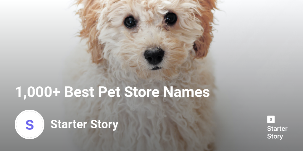 1 000 Best Pet Store Names Starter Story