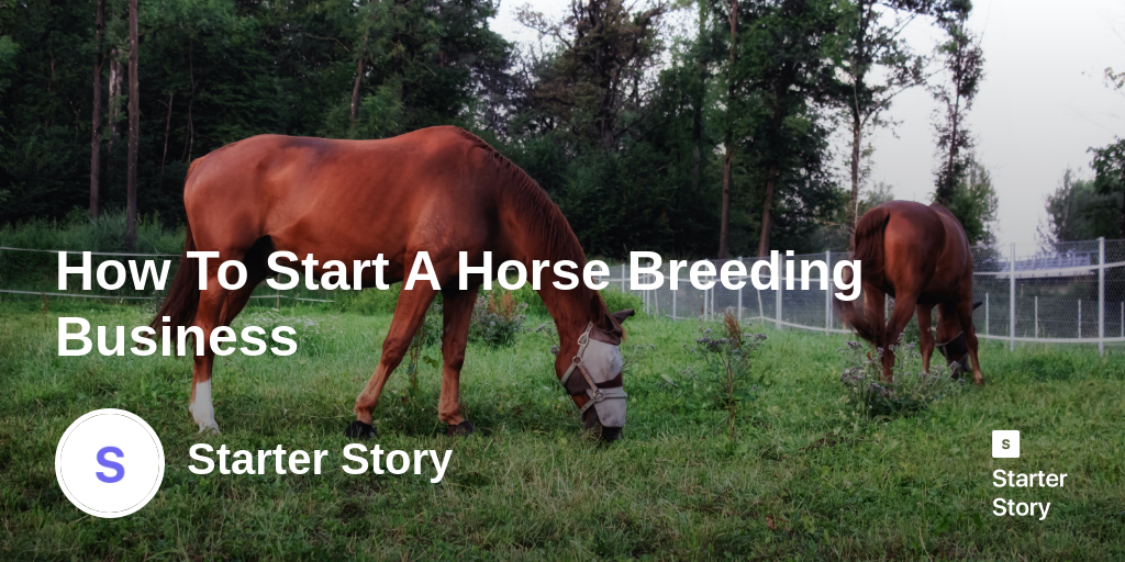 How To Start A Horse Breeding Business