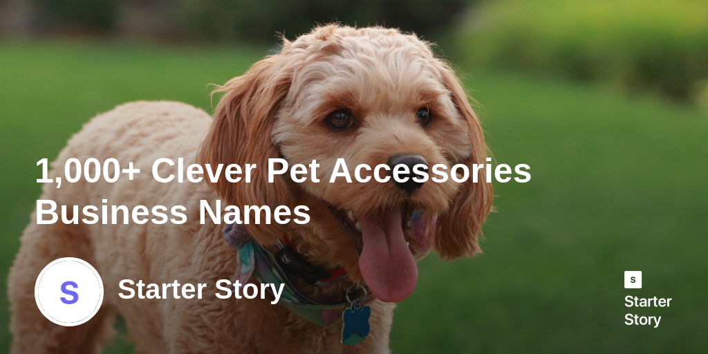 1,000+ Clever Pet Accessories Business Names Starter Story