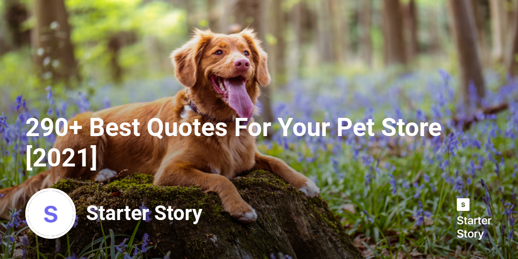 290+ Best Quotes For Your Pet Store [2024]