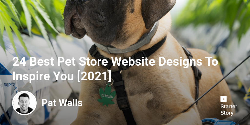 24 Best Pet Store Website Designs To Inspire You 2024 Starter