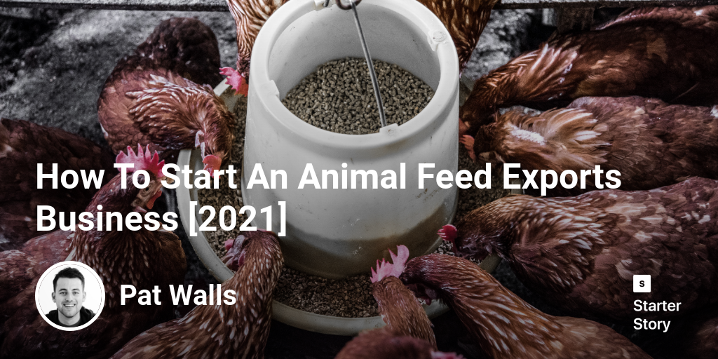 How To Start An Animal Feed Exports Business [2024]