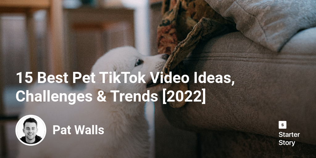 15 Best Pet TikTok Video Ideas, Challenges & Trends [2024]