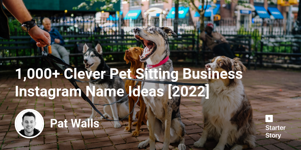 1,000+ Clever Pet Sitting Business Instagram Name Ideas [2024]