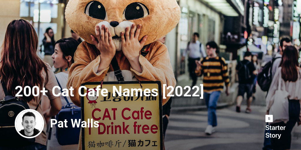 200+ Cat Cafe Names [2024]