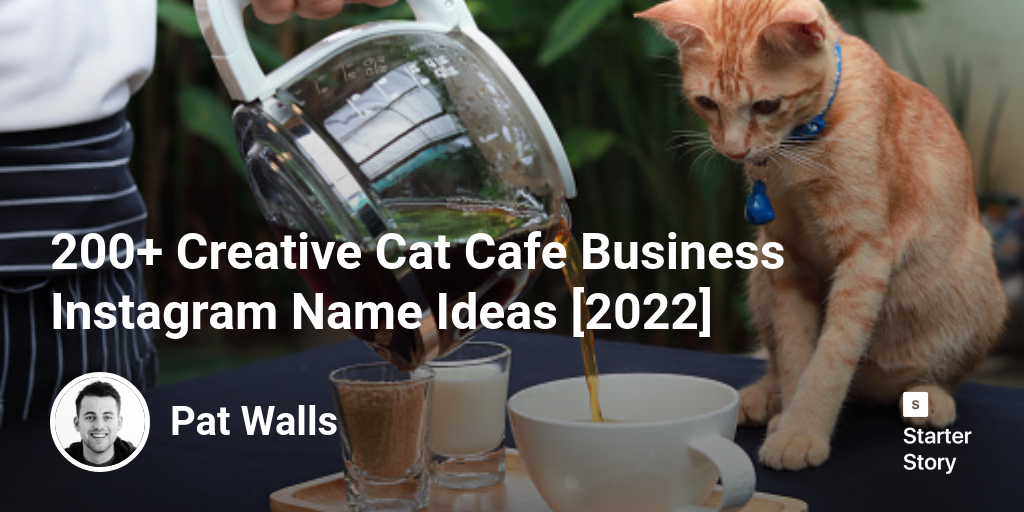 200+ Creative Cat Cafe Business Instagram Name Ideas [2024]