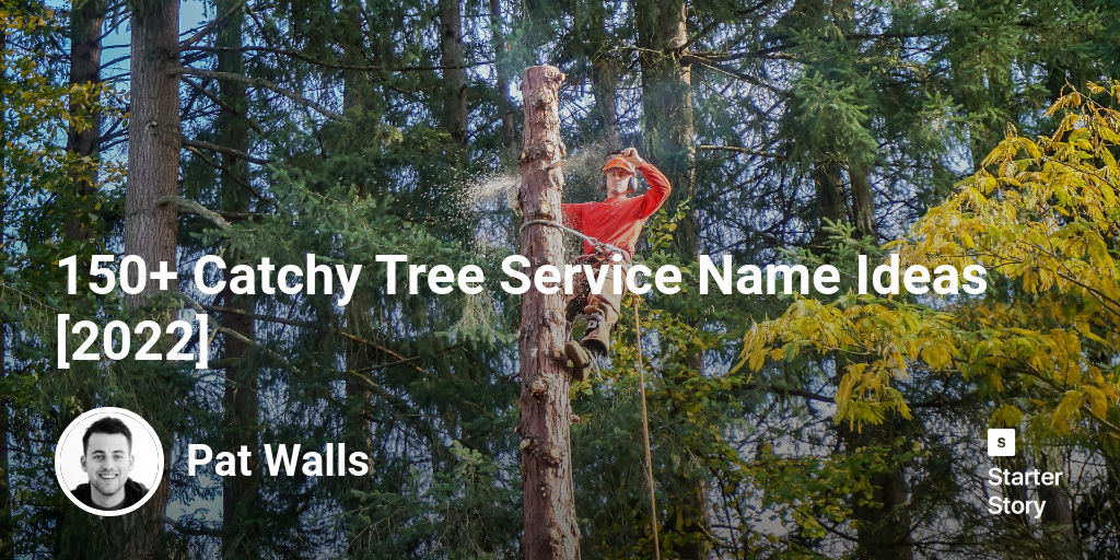 150+ Catchy Tree Service Name Ideas [2024]