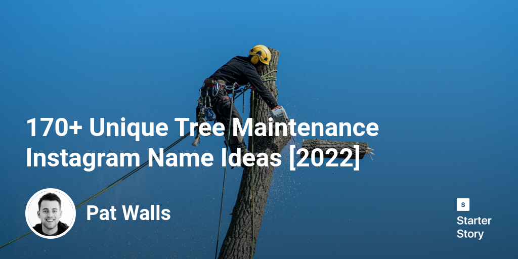 170+ Unique Tree Maintenance Instagram Name Ideas [2024]