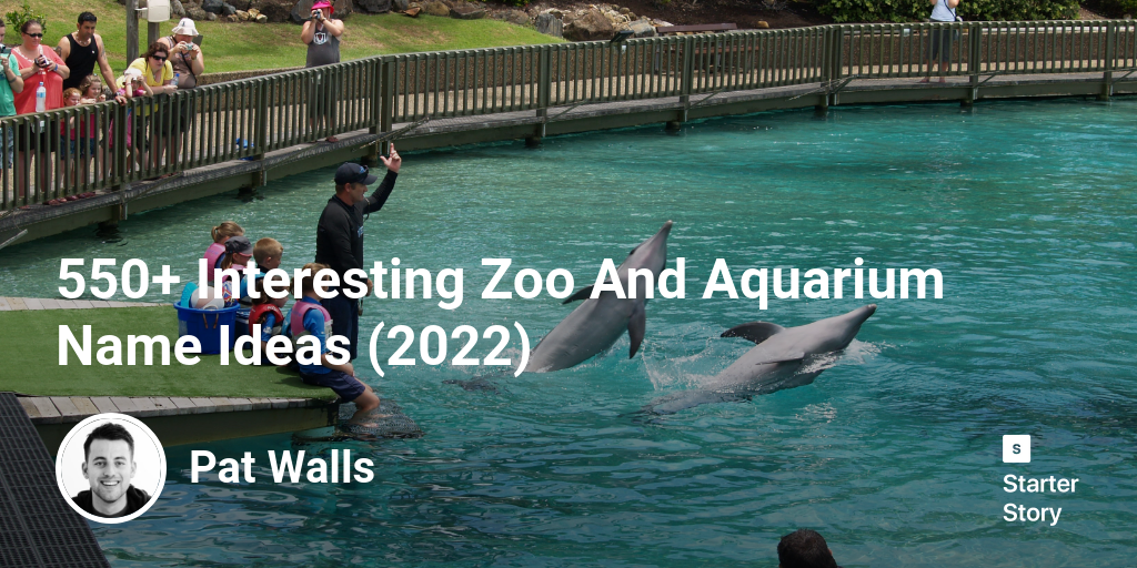 550+ Interesting Zoo And Aquarium Name Ideas (2024)