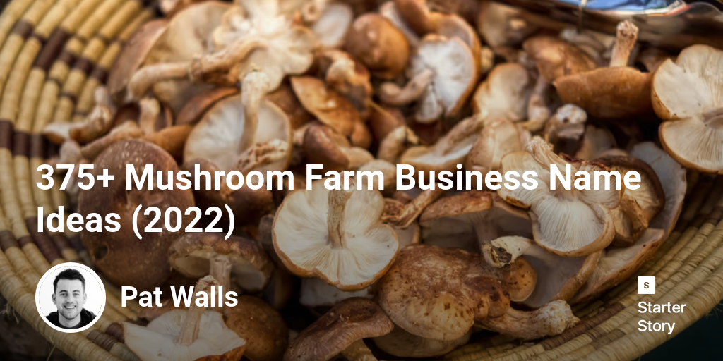 375+ Mushroom Farm Business Name Ideas (2024)