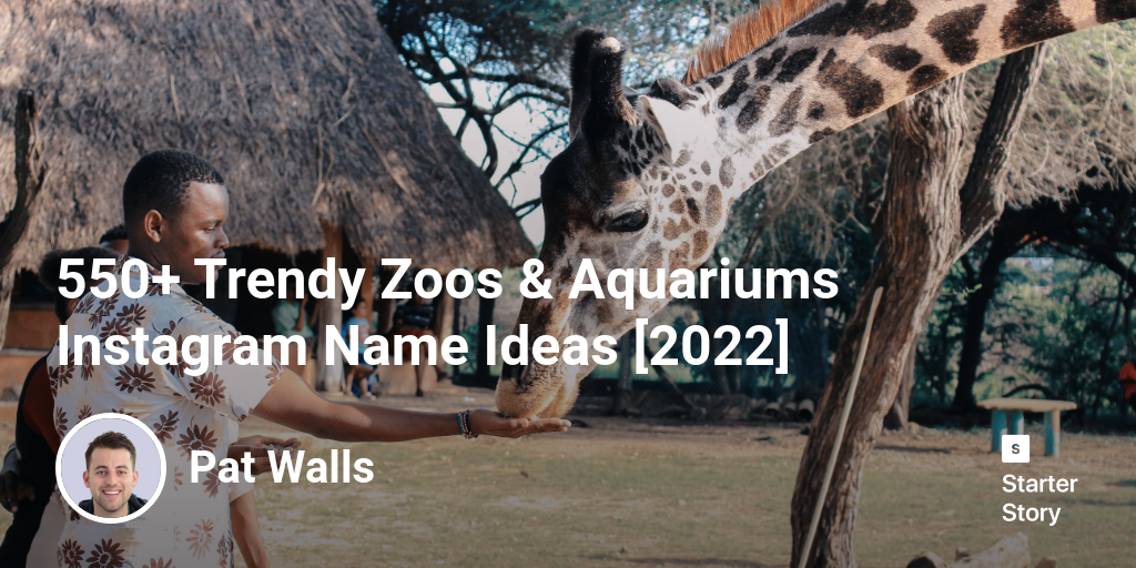 550+ Trendy Zoos & Aquariums Instagram Name Ideas [2024]