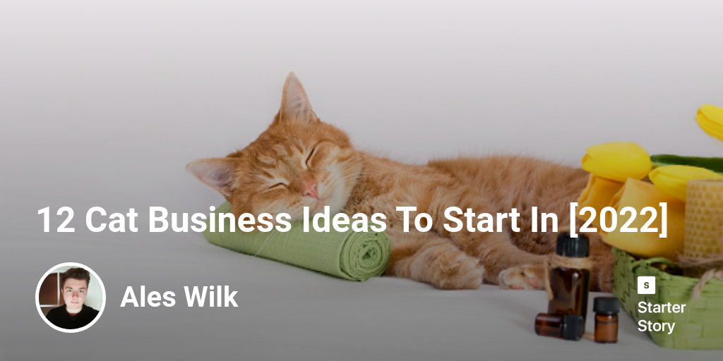 12 Cat Business Ideas To Start In [2024]