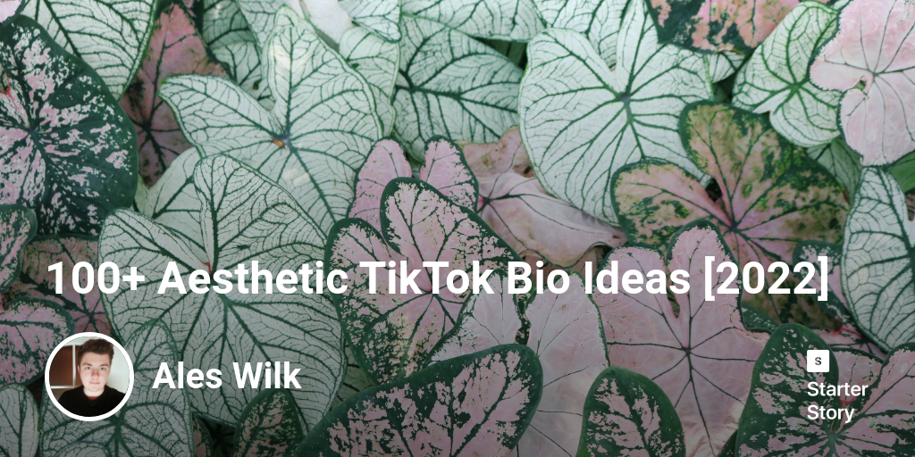 100+ Aesthetic TikTok Bio Ideas [2024]