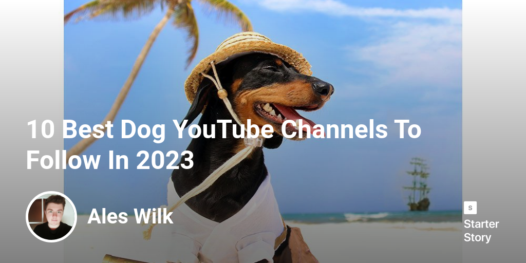 10 Best Dog YouTube Channels To Follow In 2024 Starter Story