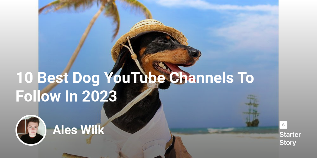 10 Best Dog YouTube Channels To Follow In 2024