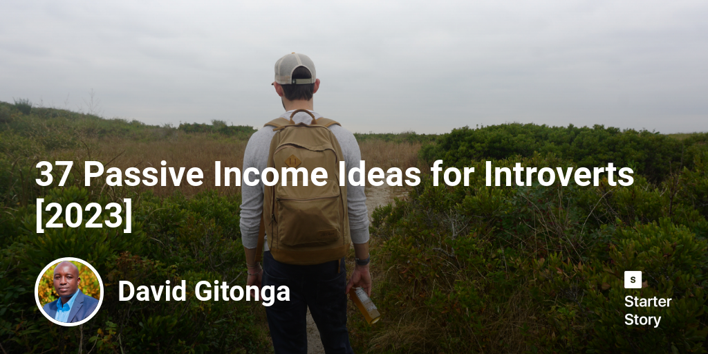 35 Passive Income Ideas for Introverts [2024]