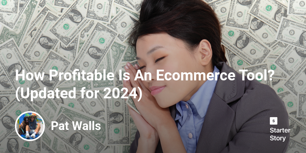 How Profitable Is An Ecommerce Tool? (Updated for 2024)