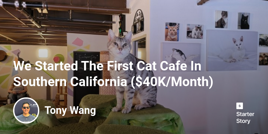 We Started The First Cat Cafe In Southern California ($40K/Month)