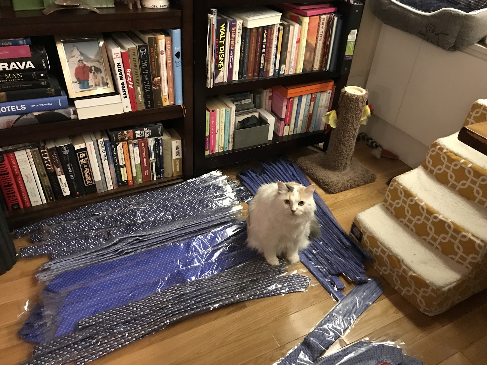 miriam-zelinsky-a-glimpse-into-my-crazy-life-holiday-edition