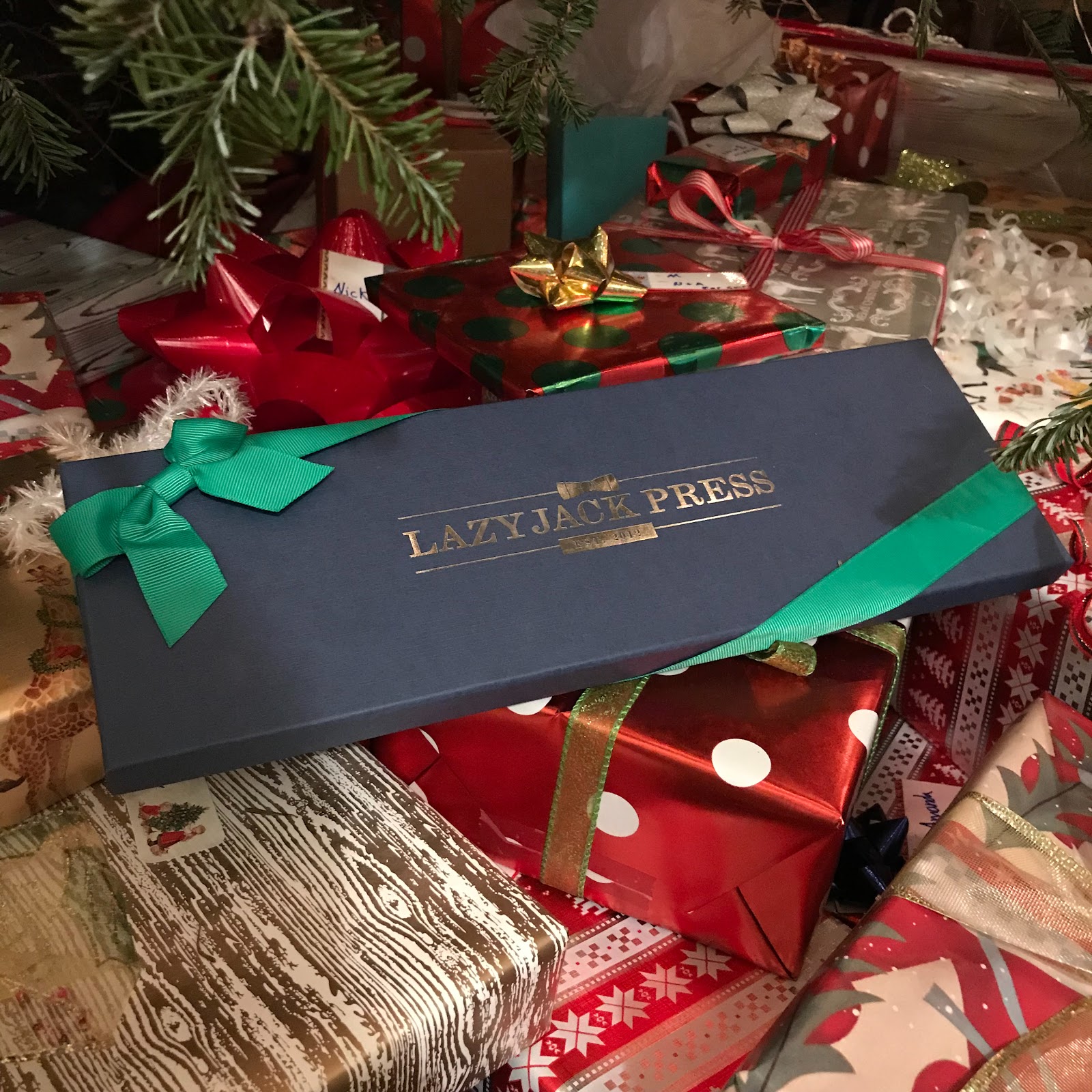 miriam-zelinsky-a-glimpse-into-my-crazy-life-holiday-edition