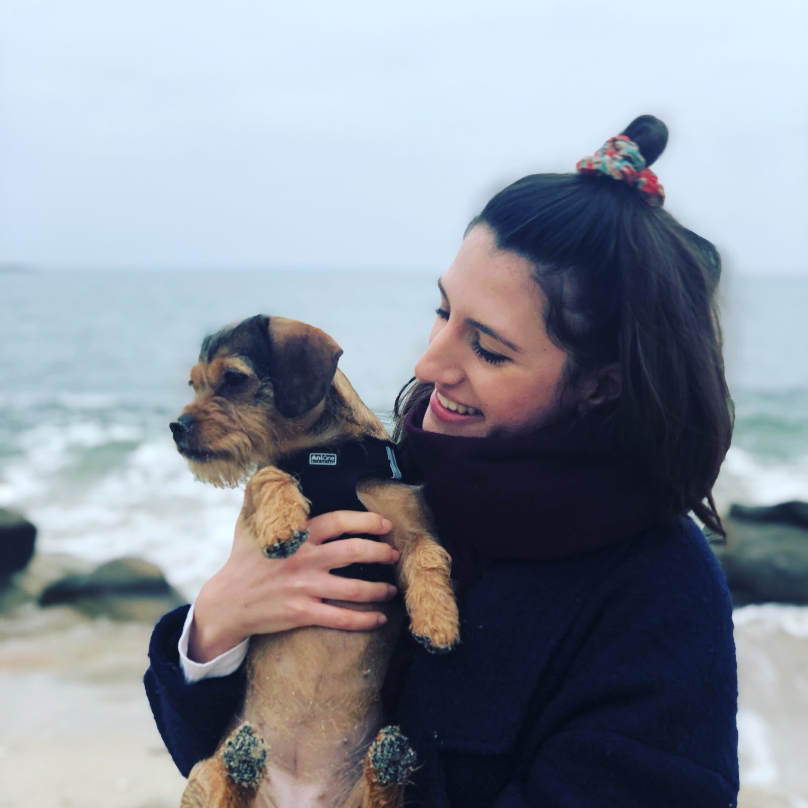 how-dani-mancini-productized-her-freelance-gigs-into-a-saas-business