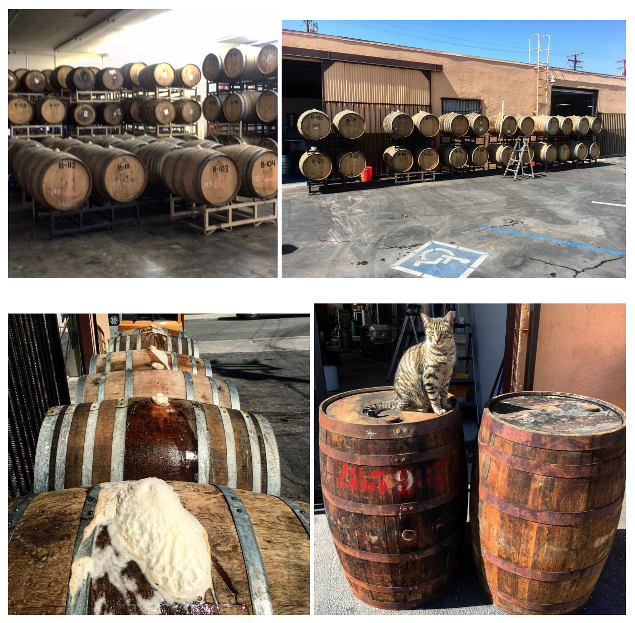how-this-entrepreneur-started-a-2m-craft-brewery