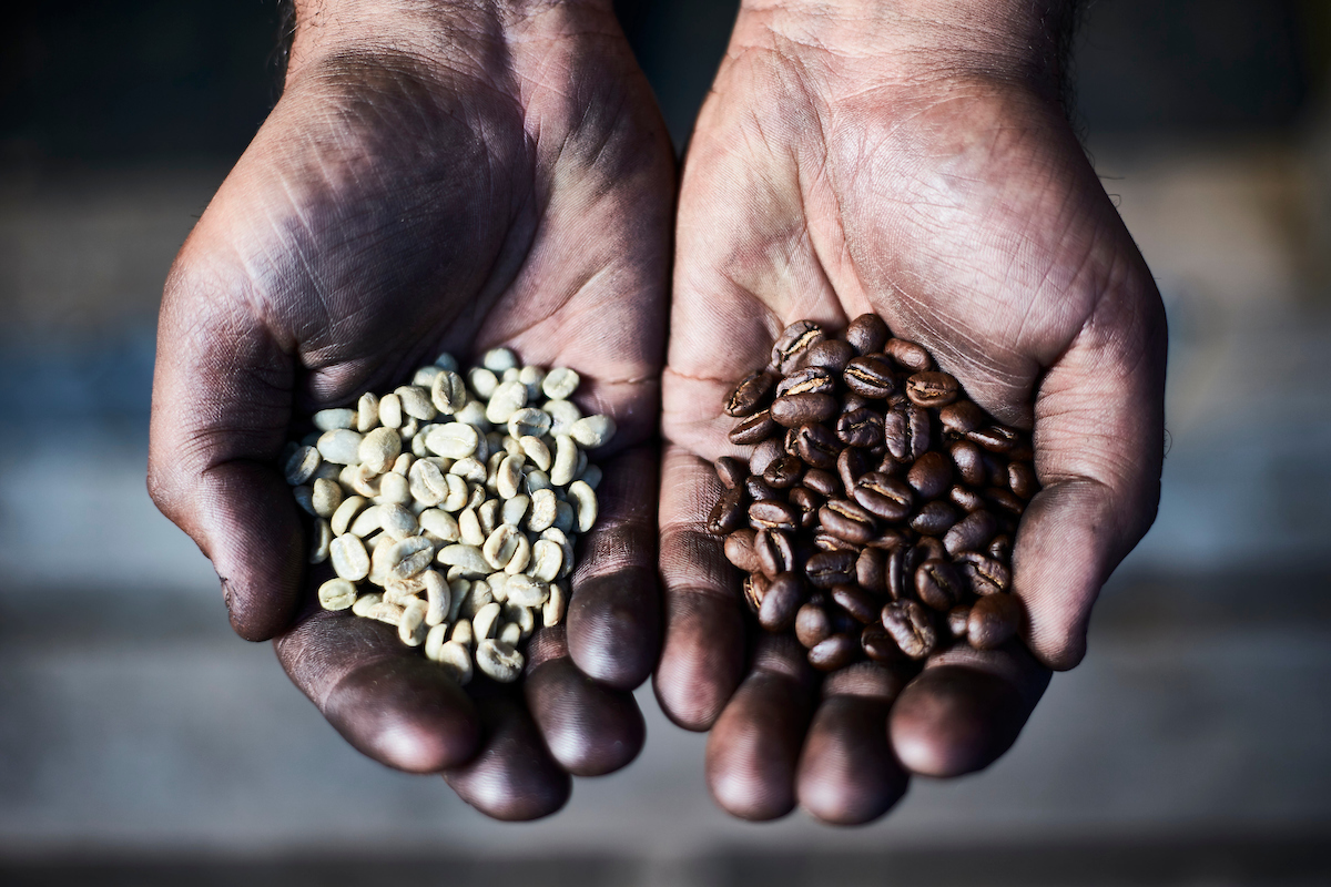 starting-a-pedal-powered-coffee-roasting-business