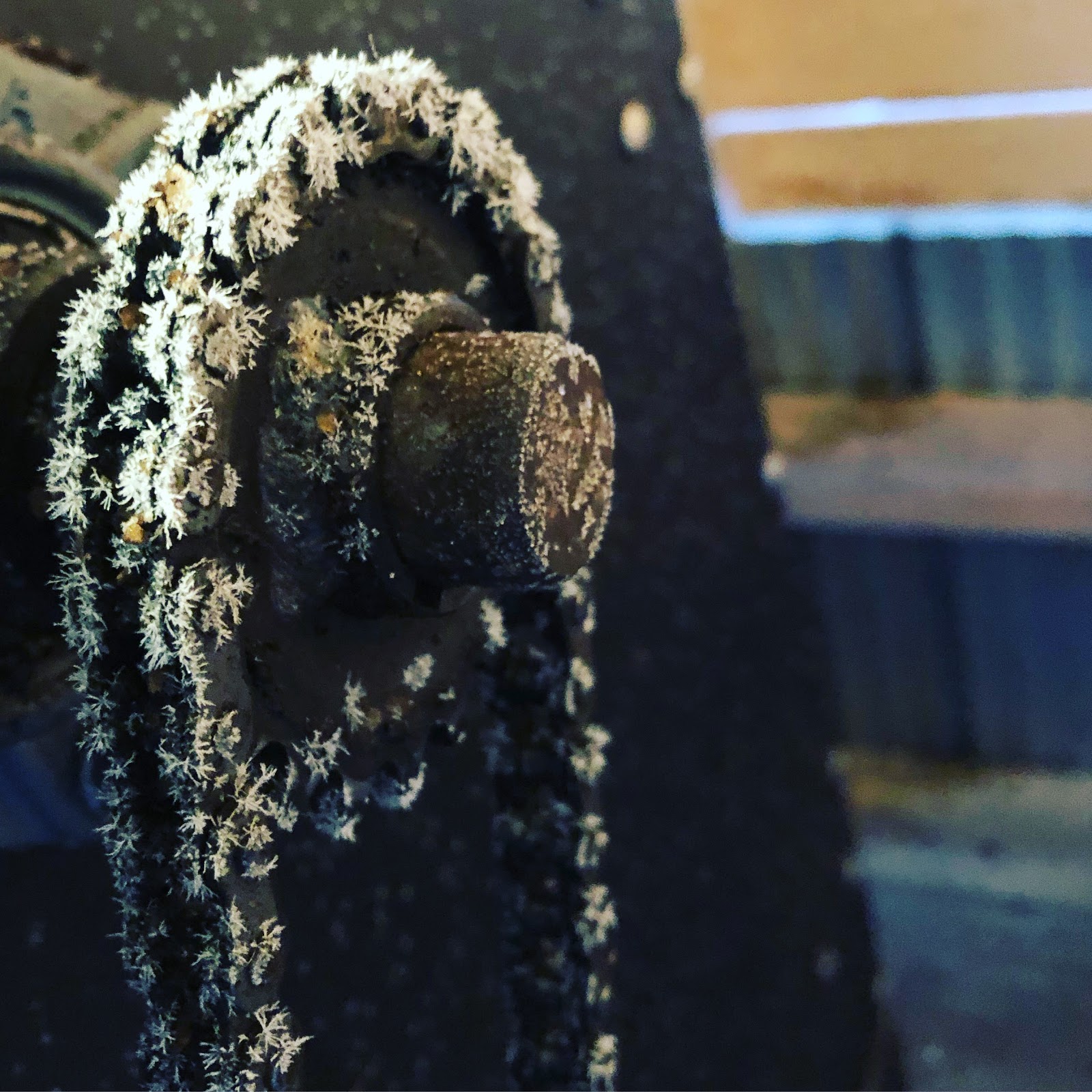 starting-a-pedal-powered-coffee-roasting-business