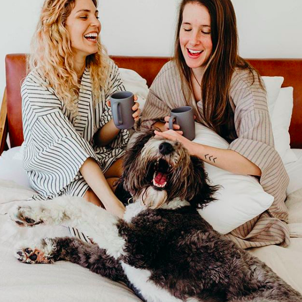 how-i-launched-a-direct-to-consumer-bed-pillow-business