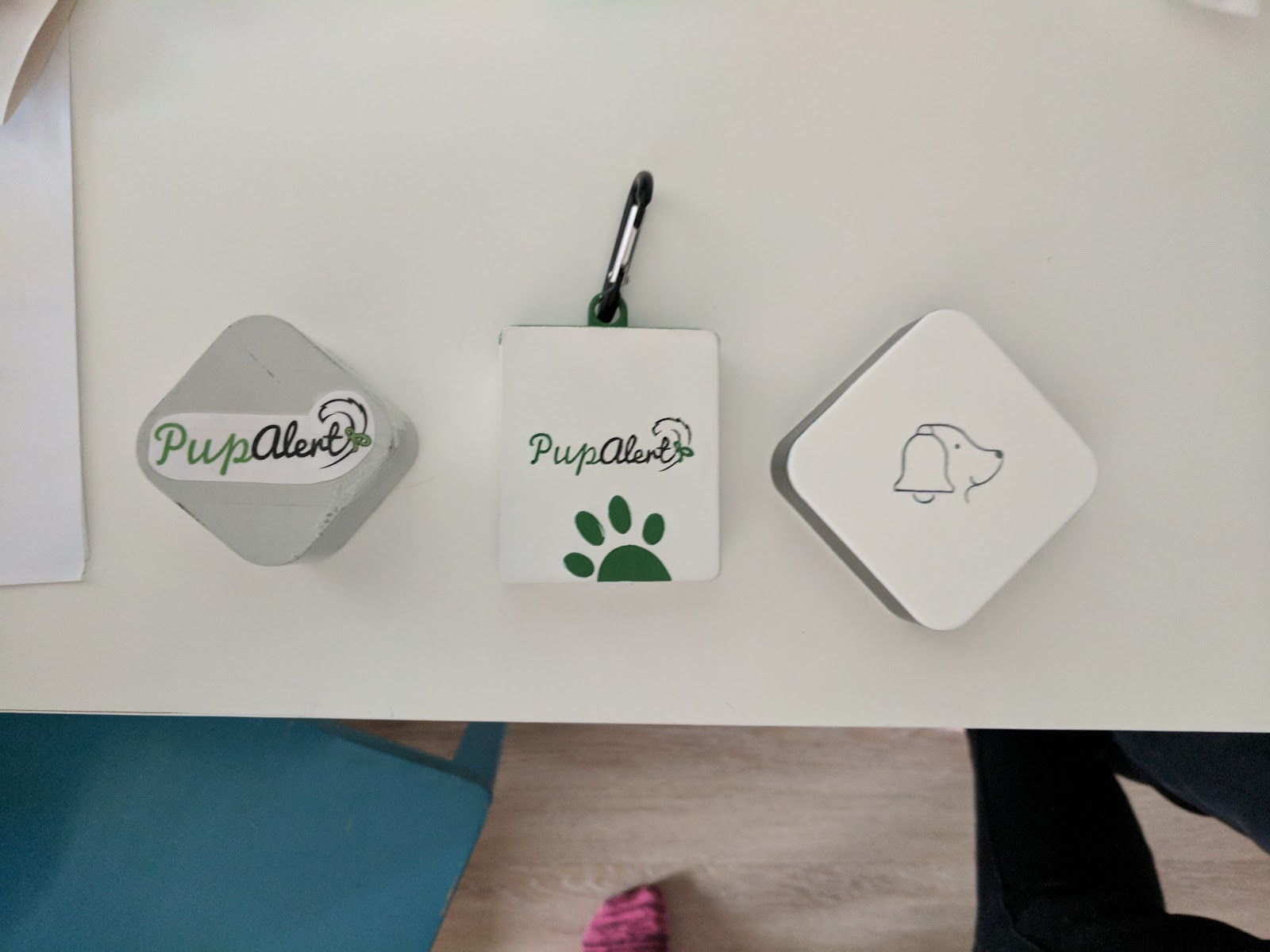 how-i-created-and-launched-a-fitbit-for-dogs