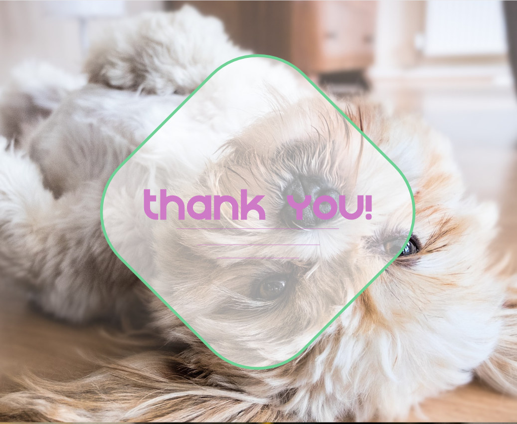 how-i-created-and-launched-a-fitbit-for-dogs