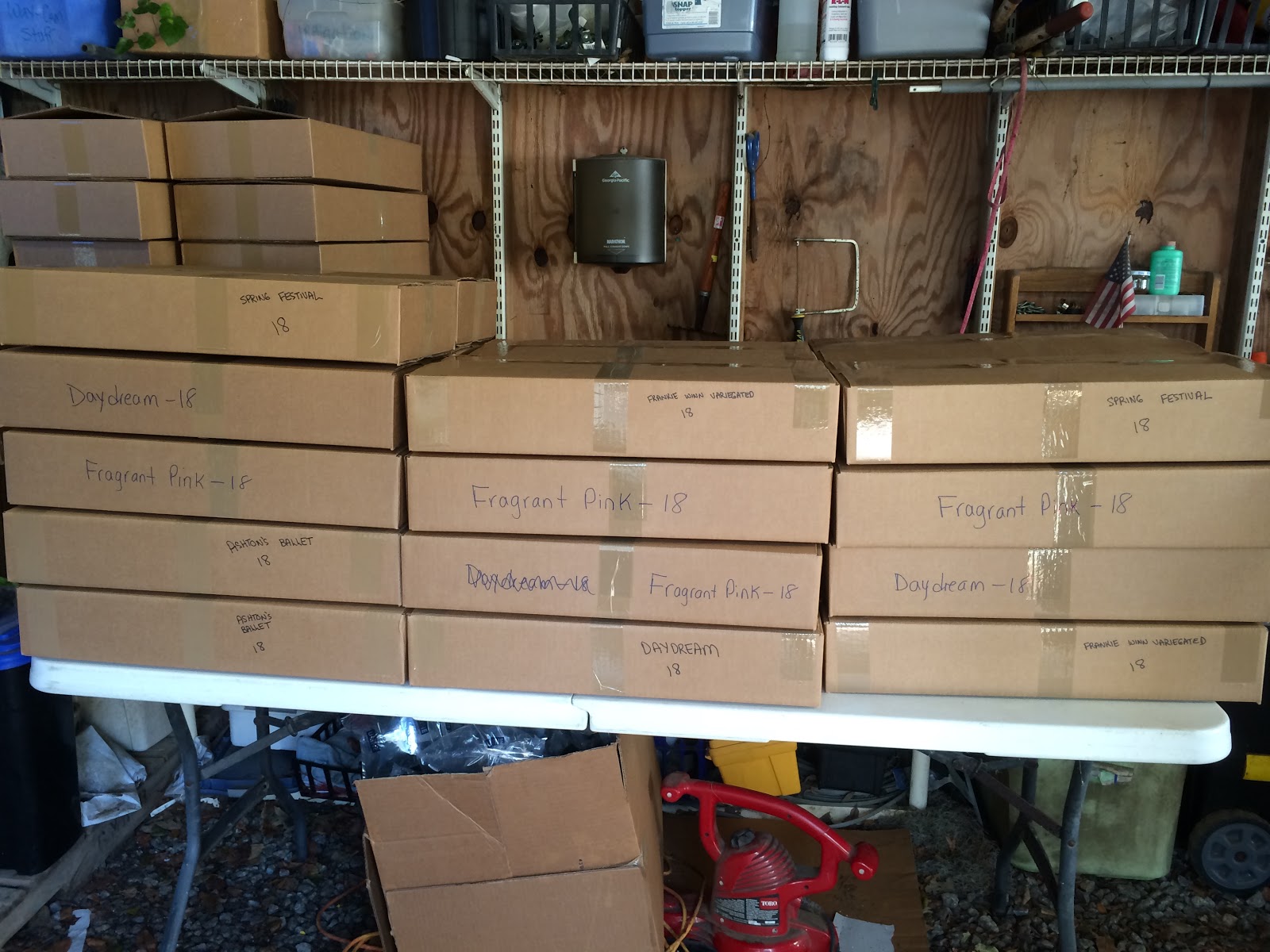 how-i-started-a-5k-month-backyard-plant-nursery-business