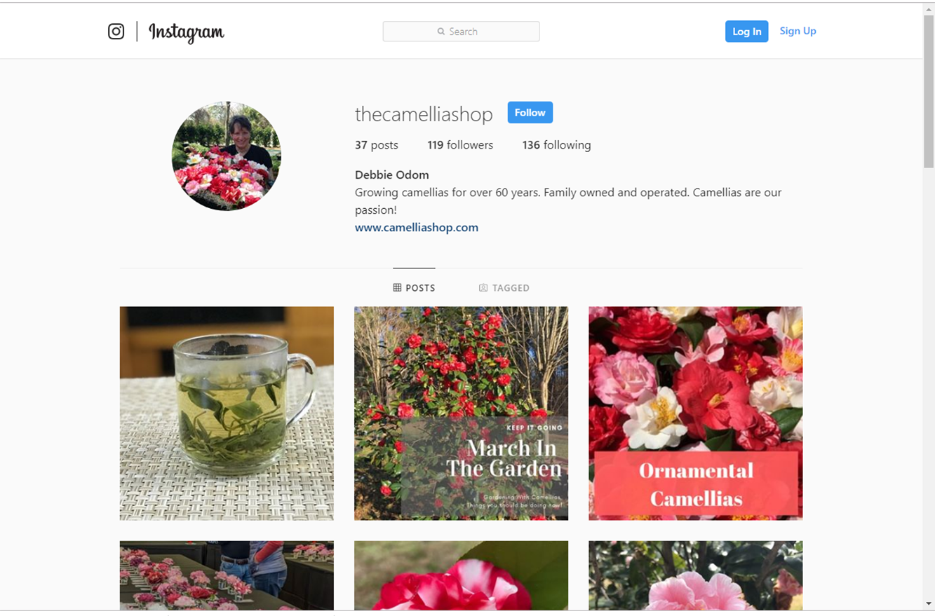 how-i-started-a-5k-month-backyard-plant-nursery-business