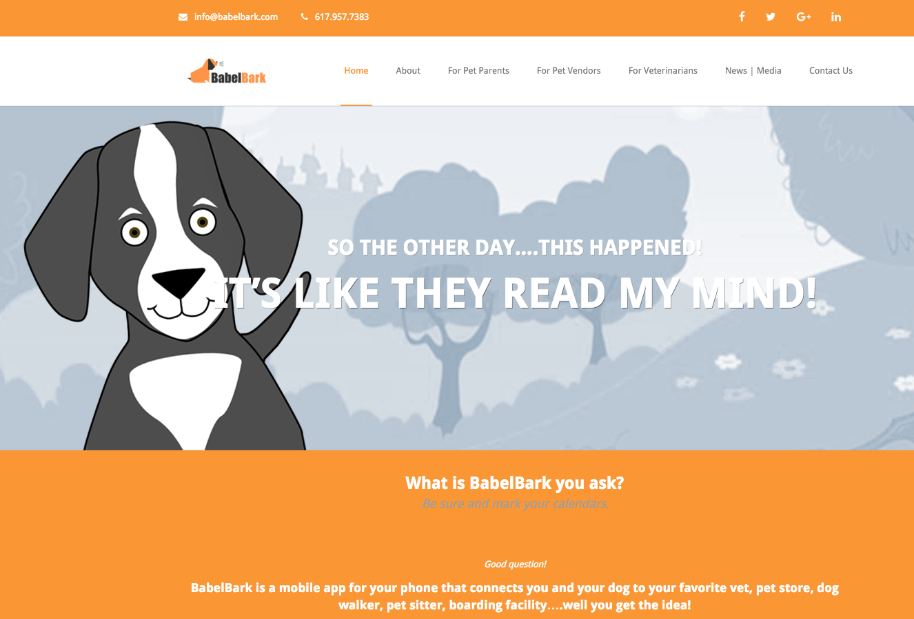 how-a-simple-idea-turned-into-a-pet-platform-with-thousands-of-users