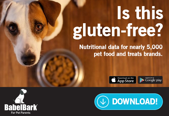 how-a-simple-idea-turned-into-a-pet-platform-with-thousands-of-users