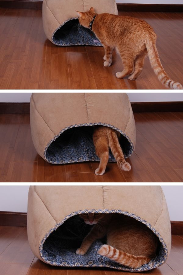 on-creating-modern-cat-bed-designs