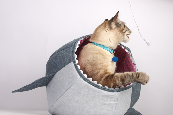 on-creating-modern-cat-bed-designs