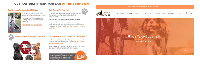 how-i-started-a-6-figures-business-selling-a-dog-accessory
