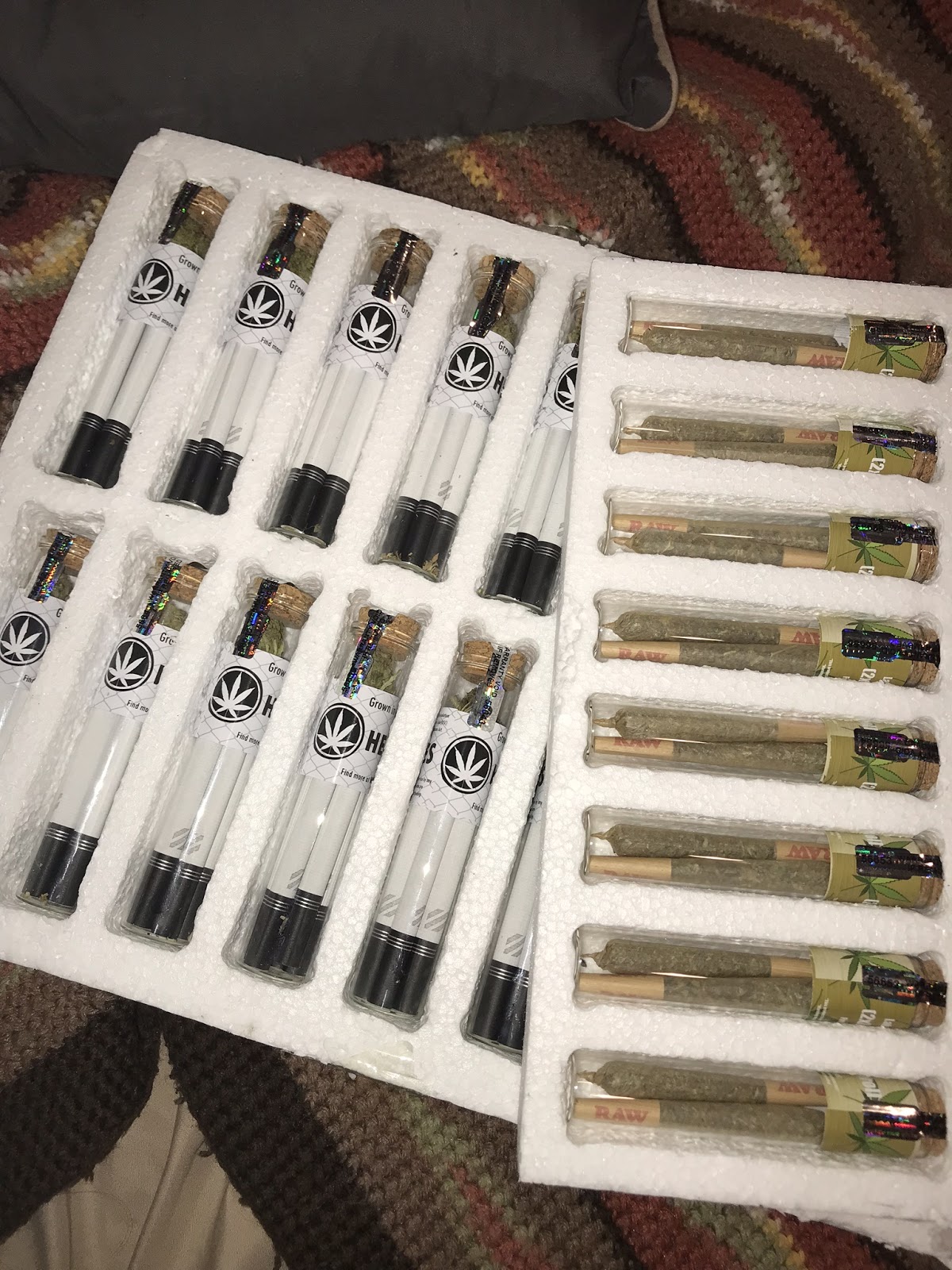 how-i-left-college-to-start-a-17k-month-business-selling-cbd-hemp-products